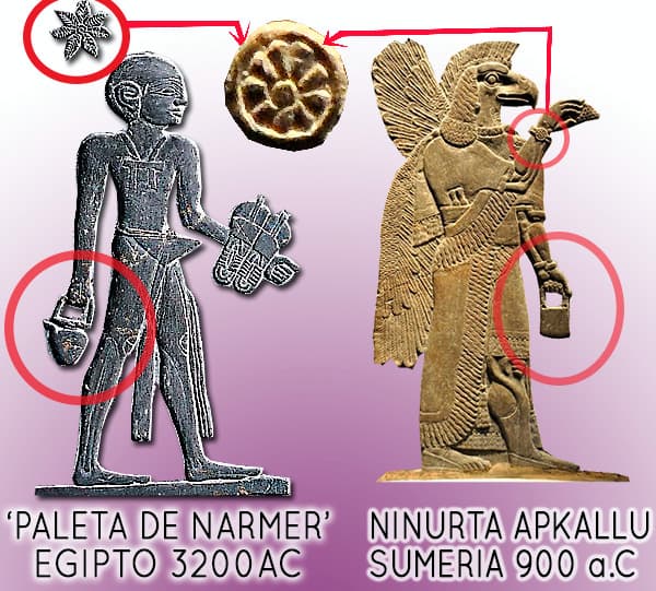 apkallus y narmer